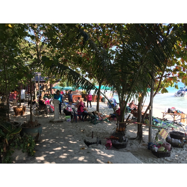 รูปถ่าย ไทย(Thailand) เกาะเสม็ด(Ko Samet) 2016-01 95