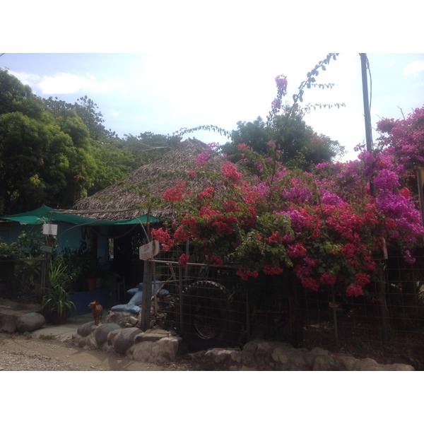 รูปถ่าย คอสตาริกา(Costa Rica) มอนเตซูมา(Montezuma) 2015-03 258