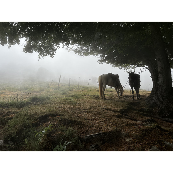 รูปถ่าย ฝรั่งเศส(France) คอร์สิคา(Corsica) ที่พักกัลเลรุชชู(Refuge de Callerucciu) 2022-06 21