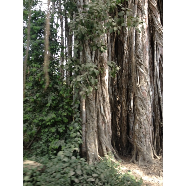 รูปถ่าย คอสตาริกา(Costa Rica) มอนเตซูมา(Montezuma) 2015-03 305