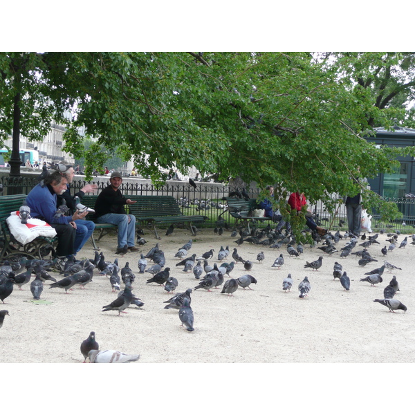 รูปถ่าย ฝรั่งเศส(France) ปารีส(Paris) มหาวิหารน็อทร์-ดาม(Notre Dame) 2007-05 218