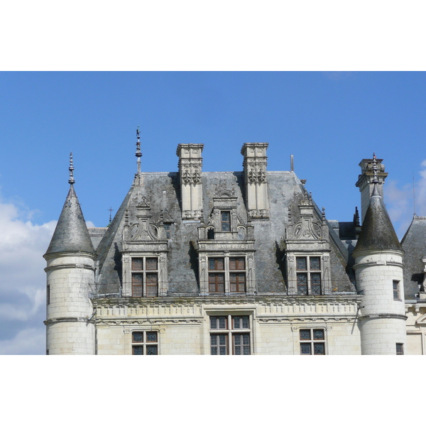 รูปถ่าย ฝรั่งเศส(France) ปราสาทเชอนงโซ(Chenonceau Castle) 2008-04 61