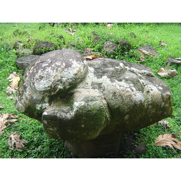 รูปถ่าย เฟรนช์โพลี่นีเซีย(Polynesia) หมู่เกาะมาร์เคซัส(Marquises) 2006-04 81