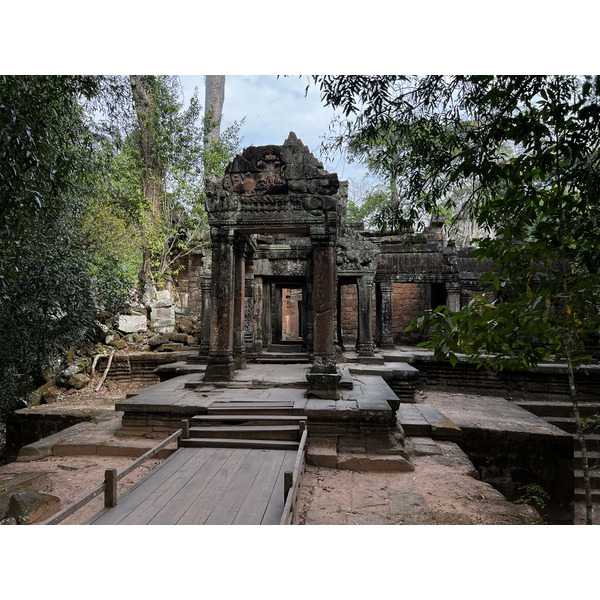 รูปถ่าย กัมพูชา(Cambodia) เสียมราฐ(Siem Reap) ปราสาทตาพรหม(Ta Prohm) 2023-01 31
