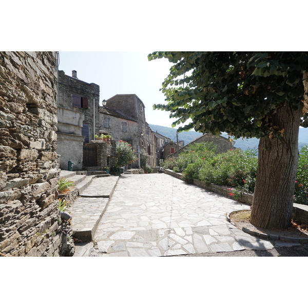 รูปถ่าย ฝรั่งเศส(France) คอร์สิคา(Corsica) แฟร์ลัจจา(Ferlaggia) 2017-09 4