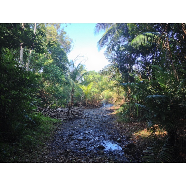 รูปถ่าย คอสตาริกา(Costa Rica) อูบีตา(Uvita) 2015-03 9
