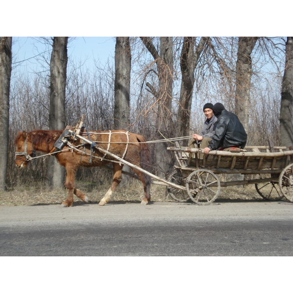 รูปถ่าย คาซัคสถาน(Kazakhstan) ถนนจากอัลมาตีไปหุบผาชารึน(Almaty to Charyn Canyon road) 2007-03 166