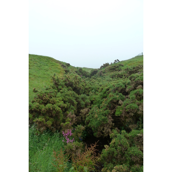 รูปถ่าย อังกฤษ(United Kingdom) สกอตแลนด์(Scotland) ปราสาทดันนอตตาร์(Dunnottar Castle) 2011-07 2