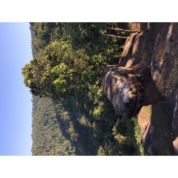 รูปถ่าย ไทย(Thailand) อุทยานแห่งชาติภูหินร่องกล้า(Phu Hin Rong Kla National Park) 2014-12 139