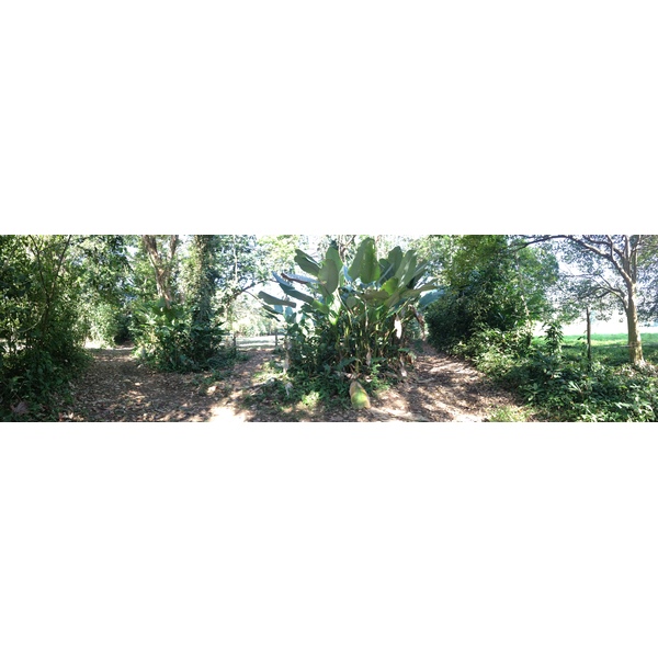 รูปถ่าย คอสตาริกา(Costa Rica) อูบีตา(Uvita) 2015-03 97