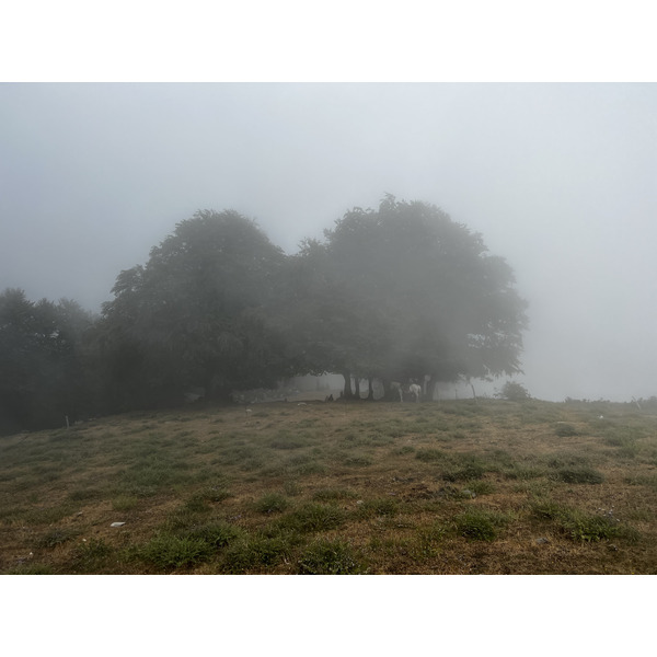 รูปถ่าย ฝรั่งเศส(France) คอร์สิคา(Corsica) ที่พักกัลเลรุชชู(Refuge de Callerucciu) 2022-06 24