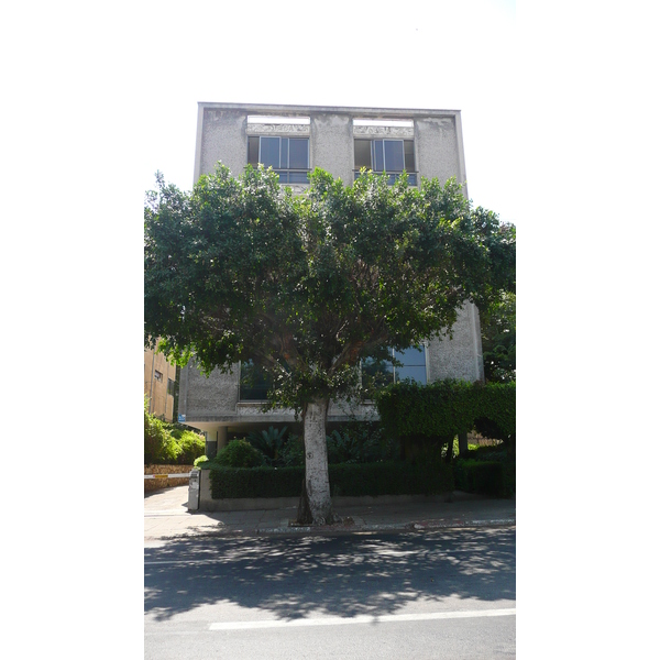 รูปถ่าย อิสราเอล(Israel) เทลอาวีฟ(Tel Aviv) ถนนทาร์ซัต(Tarsat Street) 2007-06 10
