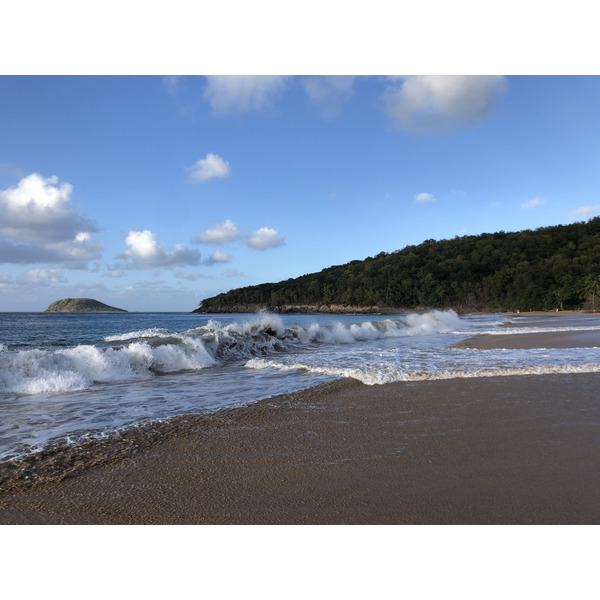 รูปถ่าย กวาเดอลูป(Guadeloupe) หาดลาแปร์ล(La Perle Beach) 2021-02 9
