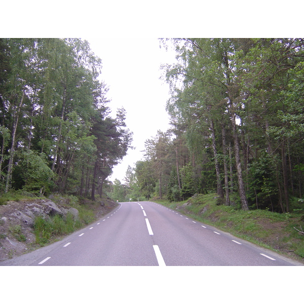 รูปถ่าย สวีเดน(Sweden) สตาฟนาส(Stavnas) 2005-06 8
