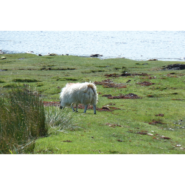 รูปถ่าย อังกฤษ(United Kingdom) เกาะสกาย(Skye) เทือกเขาคูลิน(The Cuillin) 2011-07 24