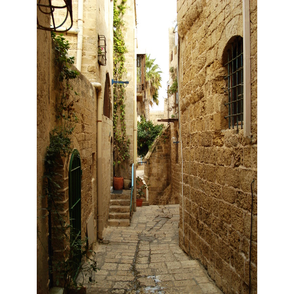 รูปถ่าย อิสราเอล(Israel) จาฟา(Jaffa) 2006-12 2