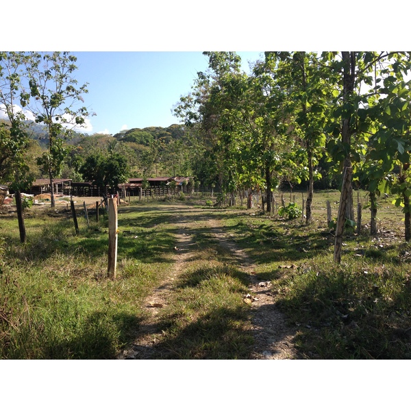 รูปถ่าย คอสตาริกา(Costa Rica) อูบีตา(Uvita) 2015-03 1