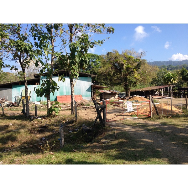รูปถ่าย คอสตาริกา(Costa Rica) อูบีตา(Uvita) 2015-03 7