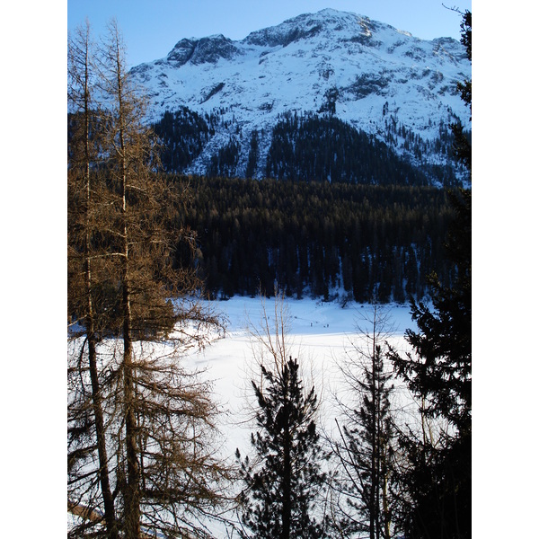 รูปถ่าย สวิสเซอร์แลนด์(Switzerland) เซนต์มอริตซ์ ชลาริญญา(St Moritz Schlarigna) 2007-01 47