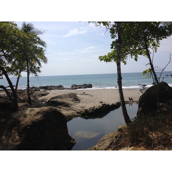 รูปถ่าย คอสตาริกา(Costa Rica) มอนเตซูมา(Montezuma) 2015-03 433