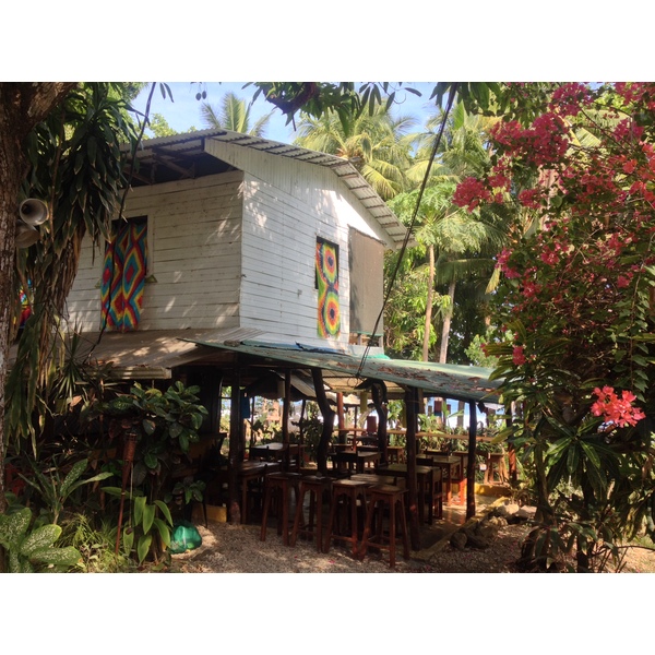 รูปถ่าย คอสตาริกา(Costa Rica) มอนเตซูมา(Montezuma) 2015-03 436