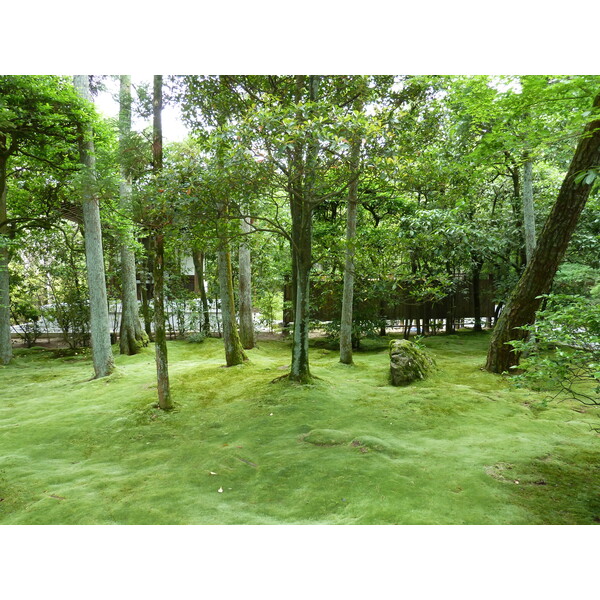 รูปถ่าย ญี่ปุ่น(Japan) เกียวโต(Kyoto) วัดเรียวอันจิ(Ryoanji Temple) 2010-06 9