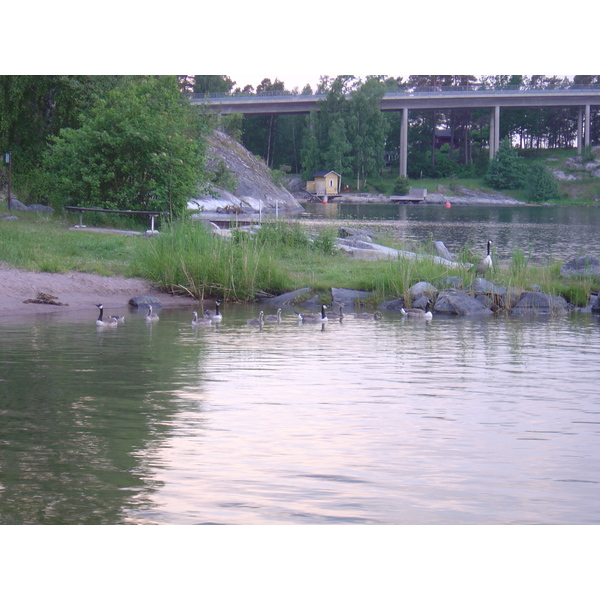 รูปถ่าย สวีเดน(Sweden) สตาฟนาส(Stavnas) 2005-06 10