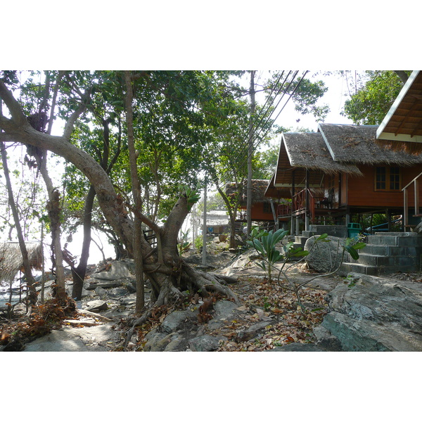 รูปถ่าย ไทย(Thailand) เกาะเสม็ด(Ko Samet) อ่าวช่อ(Ao Cho) 2009-01 17