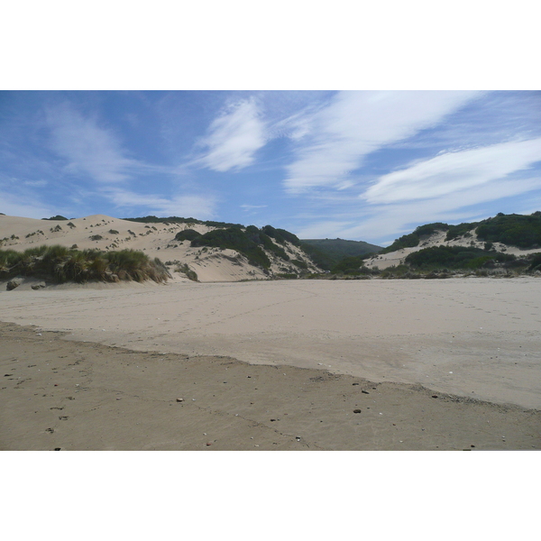 รูปถ่าย แอฟริกาใต้(South Africa) ถนนจากเฮอร์มานัสไปไนส์นา(Harmanus to Knysna road) 2008-09 97