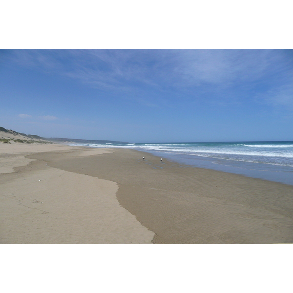 รูปถ่าย แอฟริกาใต้(South Africa) ถนนจากเฮอร์มานัสไปไนส์นา(Harmanus to Knysna road) 2008-09 69