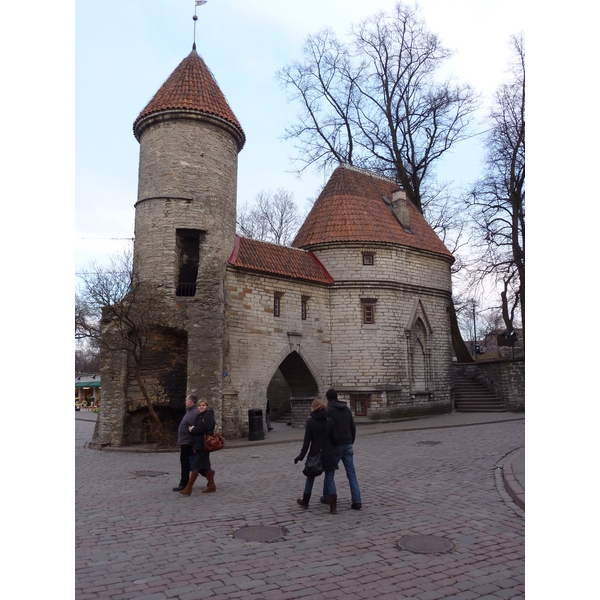 รูปถ่าย เอสโตเนีย(Estonia) ทาลลินน์(Tallinn) เมืองเก่าทาลลินน์(Old Tallinn) 2009-04 9