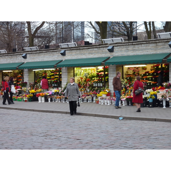 รูปถ่าย เอสโตเนีย(Estonia) ทาลลินน์(Tallinn) เมืองเก่าทาลลินน์(Old Tallinn) 2009-04 21