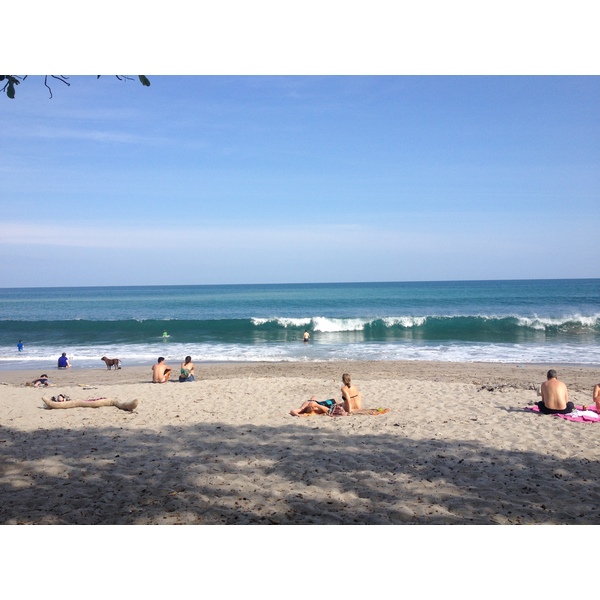 รูปถ่าย คอสตาริกา(Costa Rica) มอนเตซูมา(Montezuma) 2015-03 254