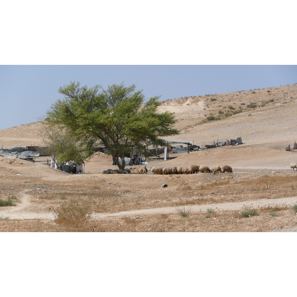 รูปถ่าย อิสราเอล(Israel) ถนนจากอัชเคลอนไปอาราด(Ashkelon to Arad road) 2007-06 90