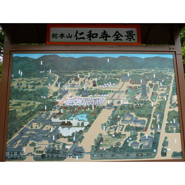 รูปถ่าย ญี่ปุ่น(Japan) เกียวโต(Kyoto) วัดนินนะจิ(Ninna ji Temple) 2010-06 64