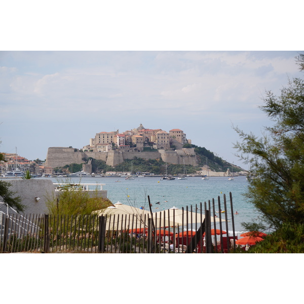 รูปถ่าย ฝรั่งเศส(France) คอร์สิคา(Corsica) คาลวี(Calvi) 2017-07 4
