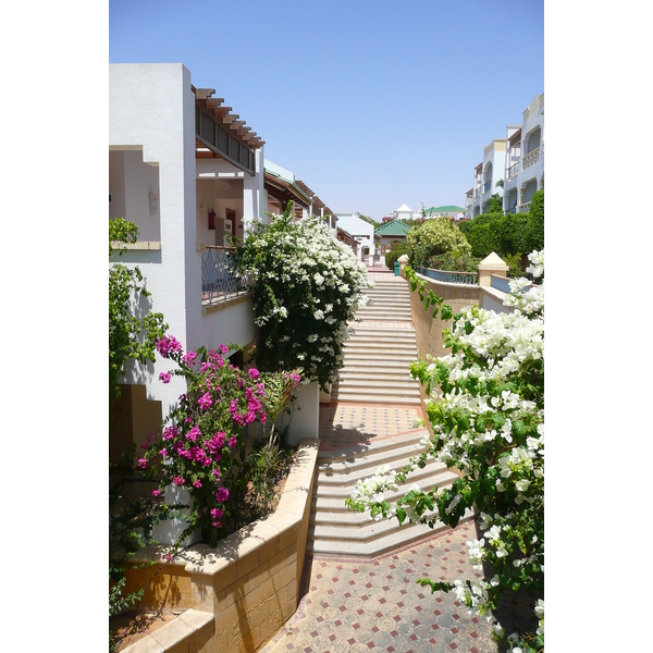 รูปถ่าย อียิปต์(Egypt) ชาร์มเอลชีค(Sharm el Sheikh) โรงแรมไฮแอต(Hyatt Hotel) 2008-06 177
