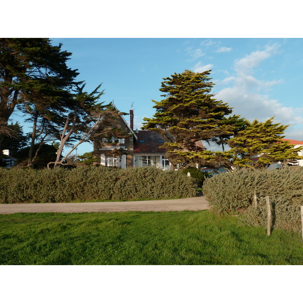 รูปถ่าย ฝรั่งเศส(France) เพรฟาย(Prefailles) 2010-11 2