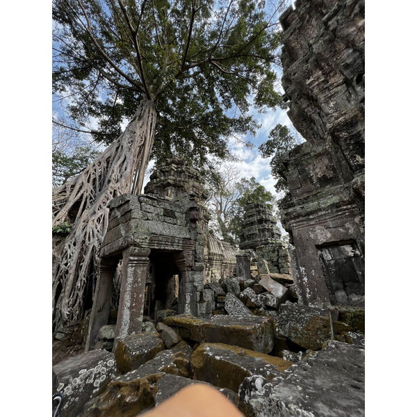 รูปถ่าย กัมพูชา(Cambodia) เสียมราฐ(Siem Reap) ปราสาทตาพรหม(Ta Prohm) 2023-01 114