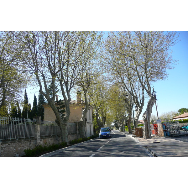 รูปถ่าย ฝรั่งเศส(France) มูรีแยส(Mouries) 2008-04 22