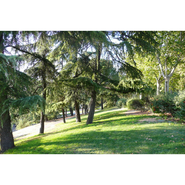 รูปถ่าย สเปน(Spain) มาดริค(Madrid) สวนเดลโอเอสเต(Parque del Oeste) 2007-09 35