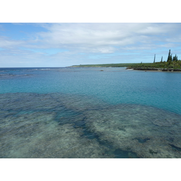 รูปถ่าย นิวแคลิโดเนีย(New Caledonia) 2010-05 67
