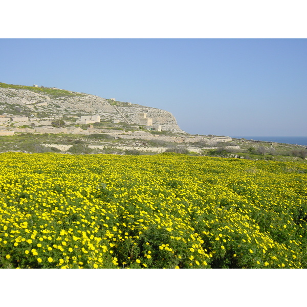 รูปถ่าย มอลตา(Malta) รอบๆเอ็มดินา(Around Mdina) 2003-03 6
