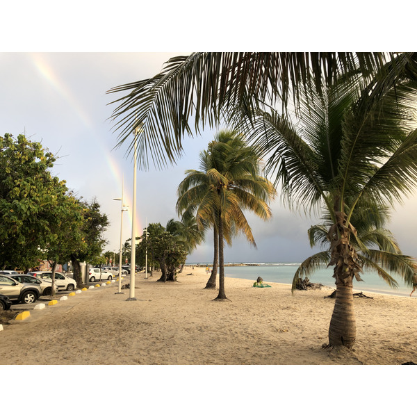 รูปถ่าย กวาเดอลูป(Guadeloupe) แซ็งตาน(Sainte Anne) 2021-02 17