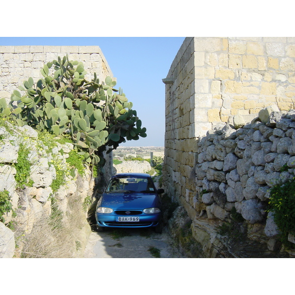 รูปถ่าย มอลตา(Malta) รอบๆเอ็มดินา(Around Mdina) 2003-03 5
