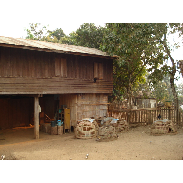 รูปถ่าย ไทย(Thailand) ปางมะผ้า(Pang Mapha) 2007-02 76
