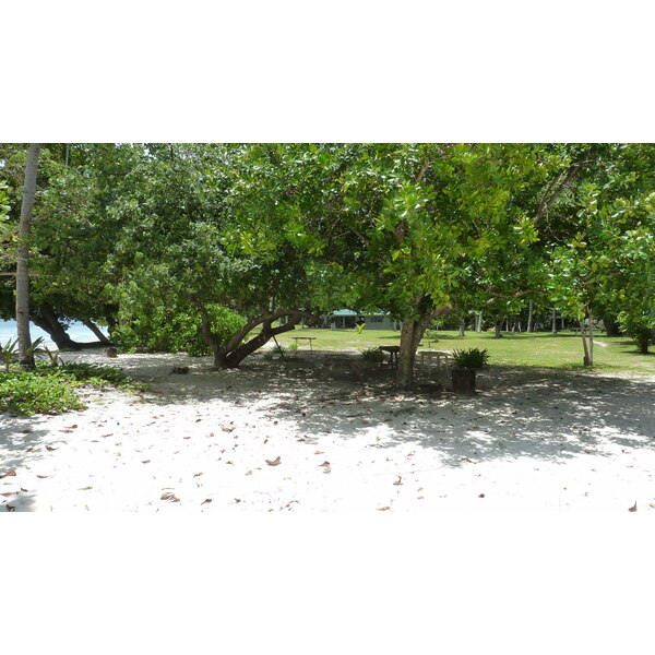 รูปถ่าย เซเชลส์(Seychelles) เกาะกร็องด์เซอร์(Grande Soeur) 2011-10 111