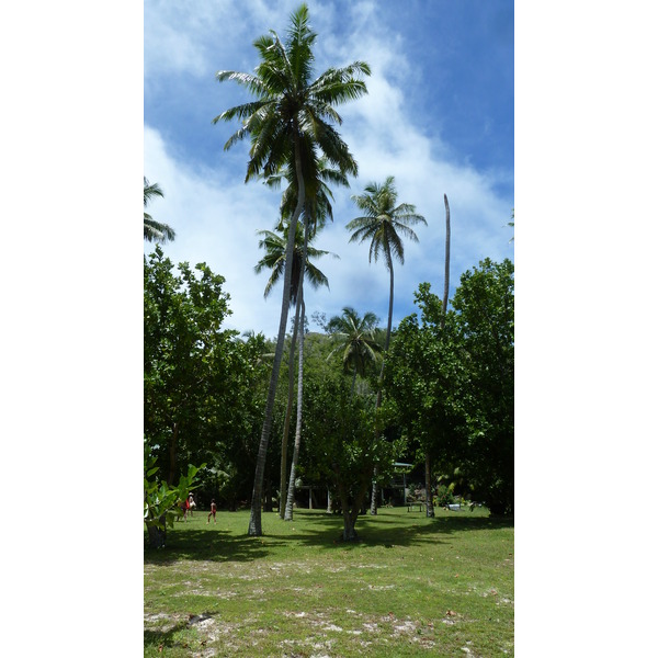 รูปถ่าย เซเชลส์(Seychelles) เกาะกร็องด์เซอร์(Grande Soeur) 2011-10 93