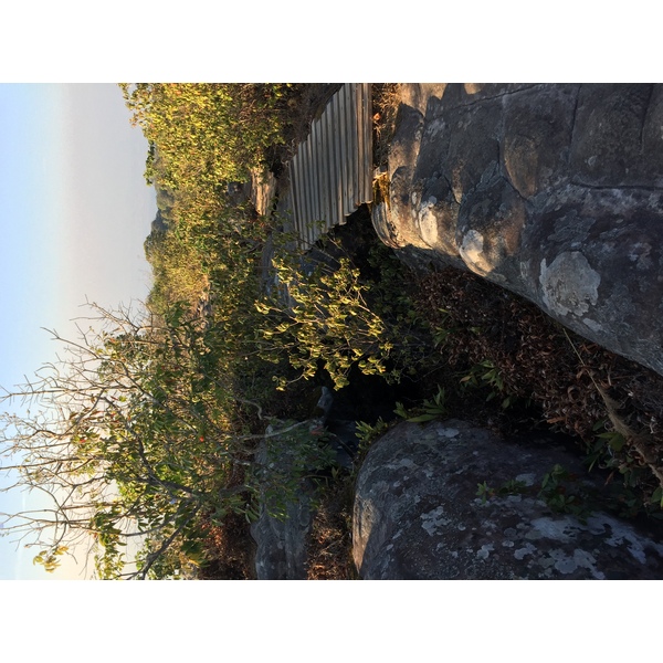 รูปถ่าย ไทย(Thailand) อุทยานแห่งชาติภูหินร่องกล้า(Phu Hin Rong Kla National Park) 2014-12 1