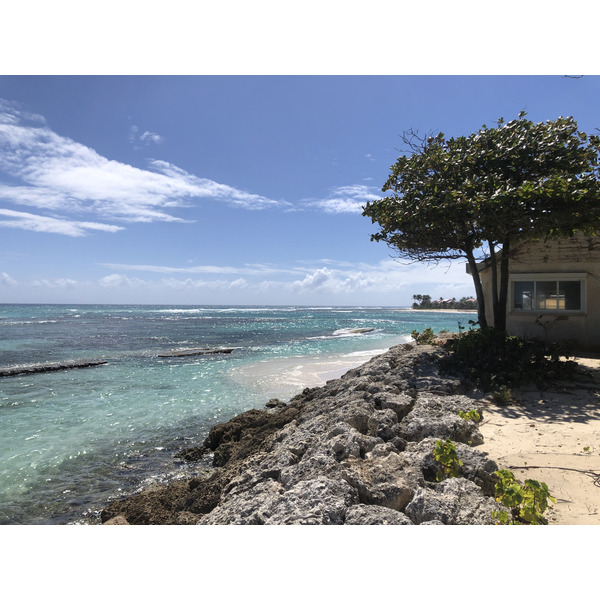 รูปถ่าย กวาเดอลูป(Guadeloupe) แซ็งฟร็องซัว(Saint Francois) 2021-02 57